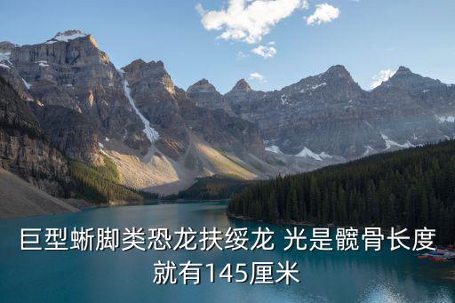 扶綏龍，廣西扶綏龍谷灣旅游休閑度假區有限公司怎么樣