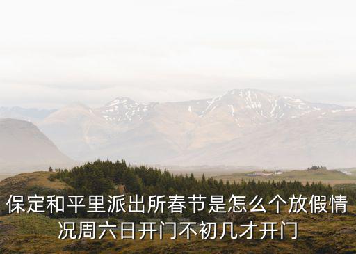 保定和平里派出所春節是怎么個放假情況周六日開門不初幾才開門