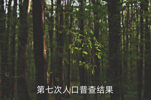 第七次人口普查結果