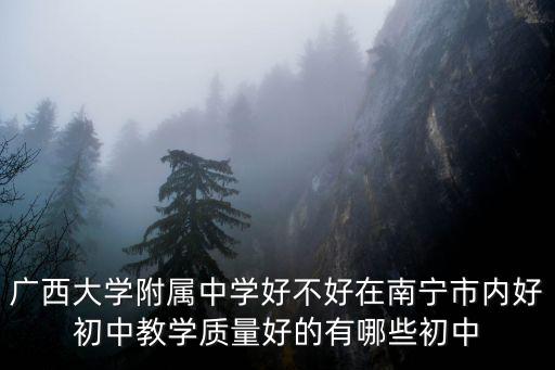 廣西大學附中，南寧市廣西大學附屬中學的招生標準是
