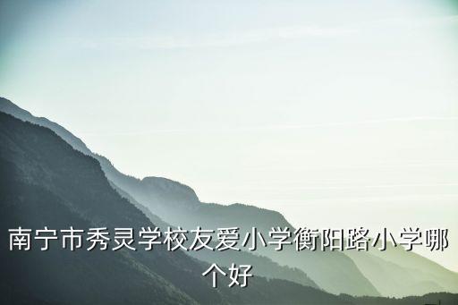 衡陽路，南寧市秀靈學校友愛小學衡陽路小學哪個好