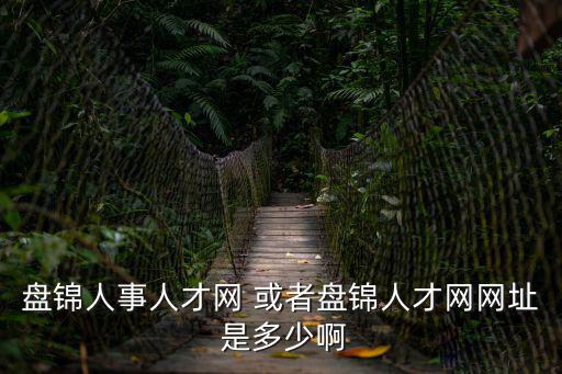 盤錦人事人才網(wǎng)，盤錦人事局