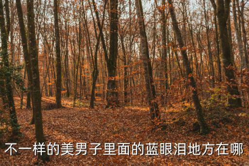 不一樣的美男子里面的藍(lán)眼淚地方在哪