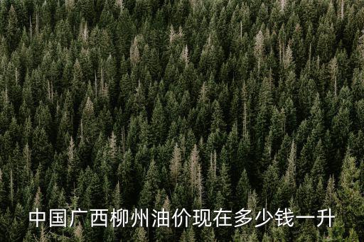 中國廣西柳州油價(jià)現(xiàn)在多少錢一升