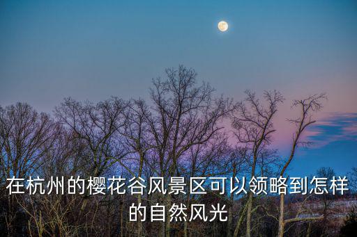 在杭州的櫻花谷風景區可以領略到怎樣的自然風光
