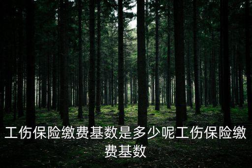 工傷保險繳費基數是多少呢工傷保險繳費基數