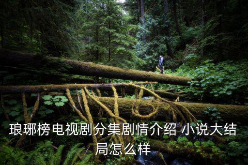 瑯琊榜劇情介紹，瑯琊榜電視劇分集劇情介紹 小說大結(jié)局怎么樣