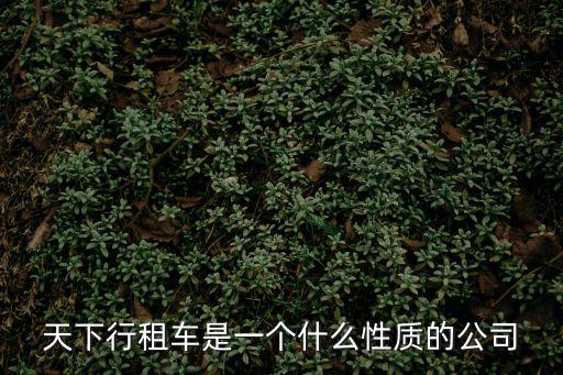 天下行租車(chē)是一個(gè)什么性質(zhì)的公司