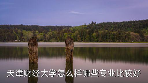 天津財經大學，天津財經大學怎么樣哪些專業比較好