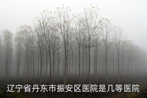 遼寧省丹東市振安區(qū)醫(yī)院是幾等醫(yī)院