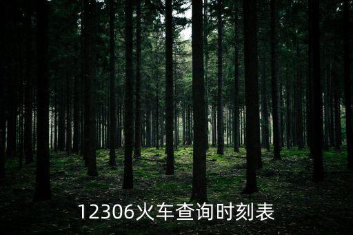 12306火車查詢時(shí)刻表
