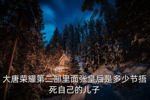 大唐榮耀第二部里面張皇后是多少節(jié)捂死自己的兒子