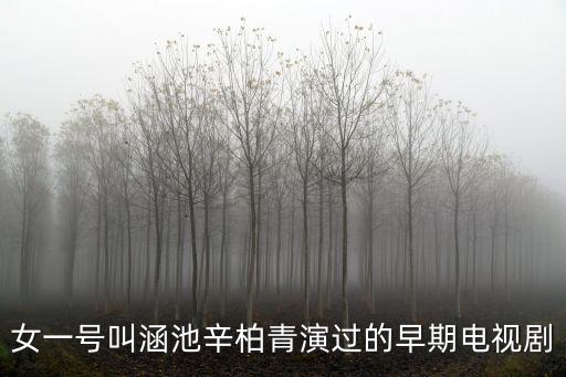 女一號叫涵池辛柏青演過的早期電視劇