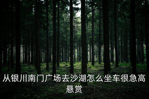 南門廣場，銀川南門廣場屬于哪個派出所管