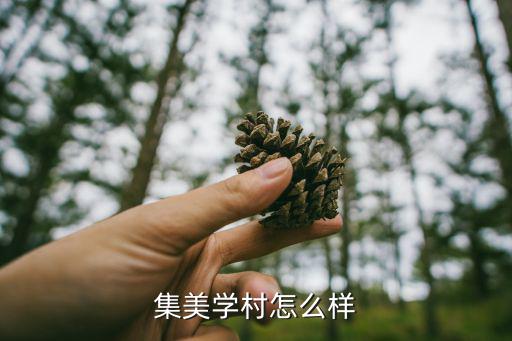 集美學(xué)村，集美學(xué)村是否就是廈門大學(xué)