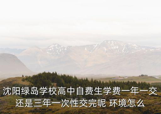 沈陽綠島學校，沈陽市綠島學校