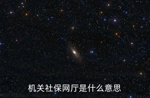 機關社保網廳是什么意思