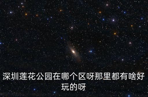 深圳蓮花公園在哪個區呀那里都有啥好玩的呀