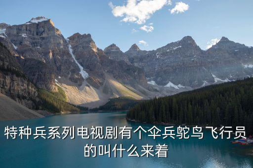 特種兵系列電視劇有個傘兵鴕鳥飛行員的叫什么來著
