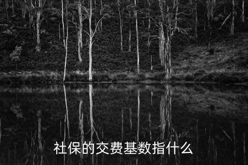 社保的交費基數(shù)指什么