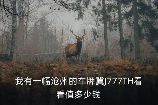 滄州車牌，我有一幅滄州的車牌冀J777TH看看值多少錢