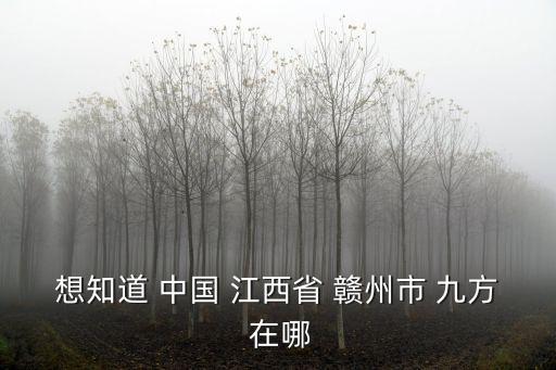 贛州九方，贛州九方