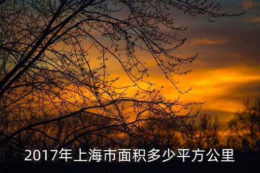 上海市地震局，上海市抗震辦在哪