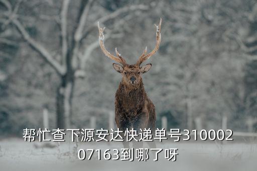 源安達(dá)快遞查詢，幫忙查下源安達(dá)快遞單號31000207163到哪了呀