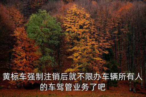 黃標車強制注銷后就不限辦車輛所有人的車駕管業務了吧