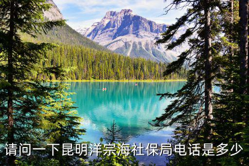 請問一下昆明洋宗海社保局電話是多少
