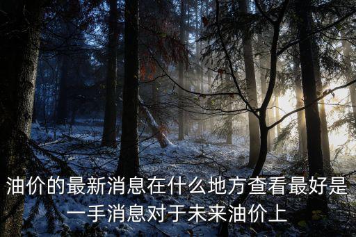 油價的最新消息在什么地方查看最好是一手消息對于未來油價上