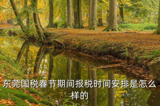 東莞國稅，東莞國稅我在東莞總站坐什么公交車到達目的地