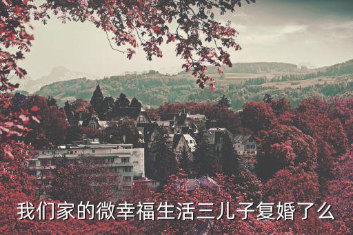 我們家的微幸福生活三兒子復婚了么