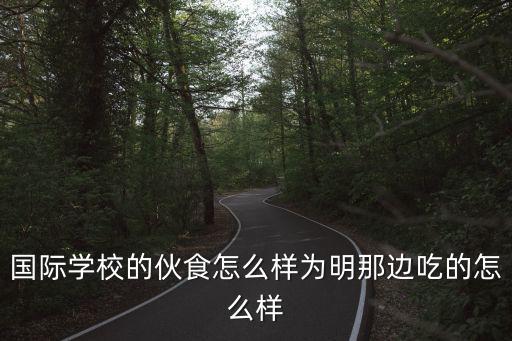 國際學(xué)校的伙食怎么樣為明那邊吃的怎么樣