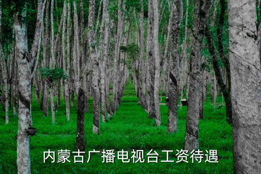 內蒙古廣播電視臺工資待遇