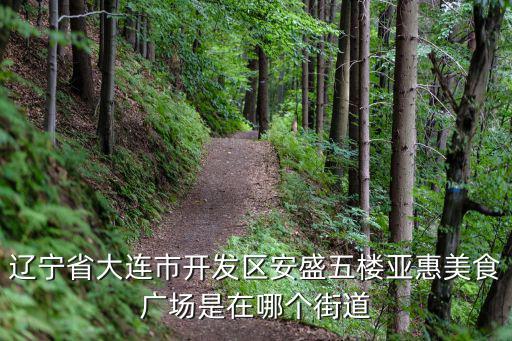 遼寧省大連市開發區安盛五樓亞惠美食廣場是在哪個街道