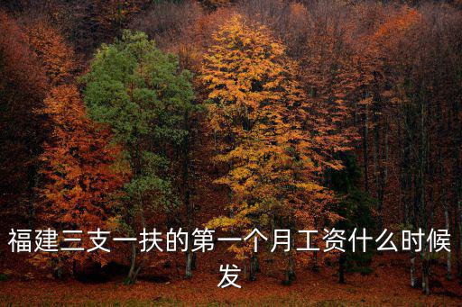 福建三支一扶的第一個(gè)月工資什么時(shí)候發(fā)