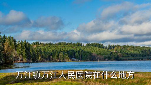 萬江鎮(zhèn)萬江人民醫(yī)院在什么地方