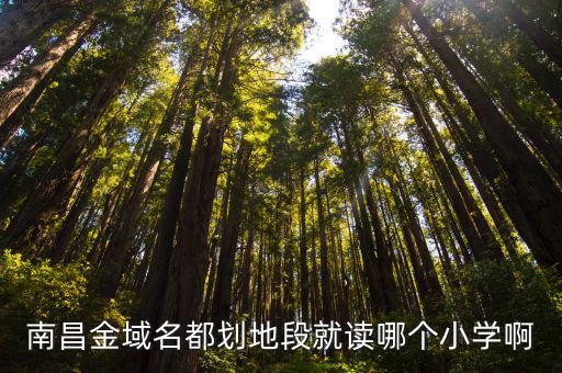 南昌金域名都劃地段就讀哪個小學啊