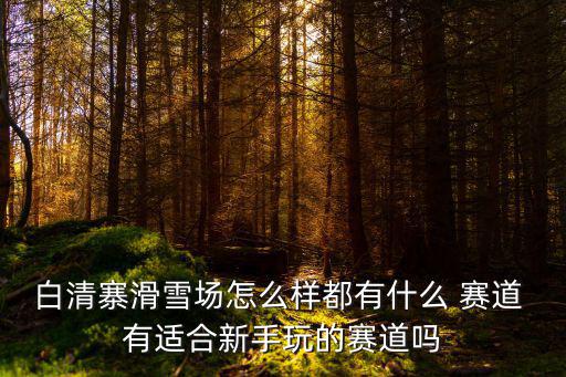 白清寨滑雪場(chǎng)怎么樣都有什么 賽道 有適合新手玩的賽道嗎