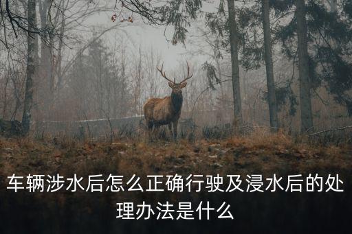 車輛涉水，汽車涉水后該怎么處理