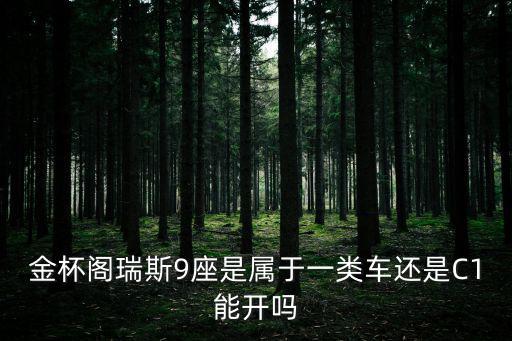 一類車，公路收費站的一類二類三類車的區別