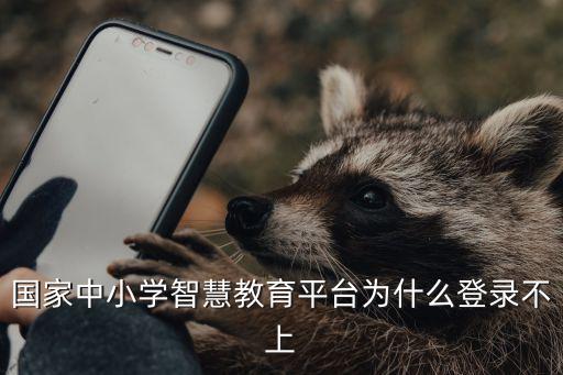 國家中小學智慧教育平臺為什么登錄不上