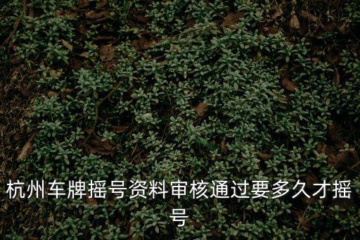 杭州車牌搖號資料審核通過要多久才搖號