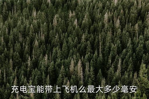 充電寶能帶上飛機么最大多少毫安
