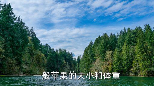 一般蘋果的大小和體重