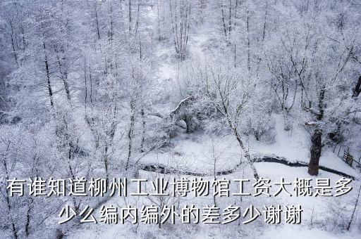 中國工業(yè)博物館，有誰知道柳州工業(yè)博物館工資大概是多少么編內(nèi)編外的差多少謝謝