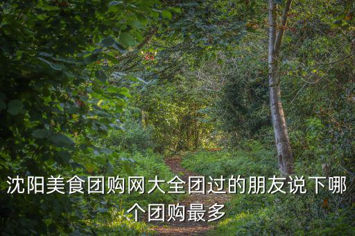 沈陽美食團購網大全團過的朋友說下哪個團購最多