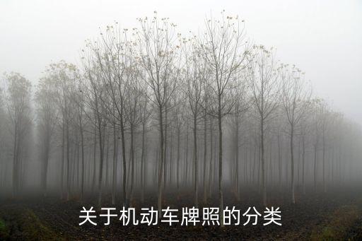 關(guān)于機(jī)動(dòng)車牌照的分類
