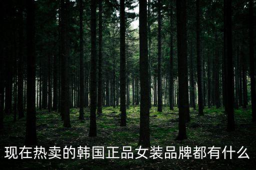 現在熱賣的韓國正品女裝品牌都有什么